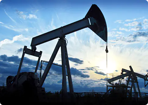 Piese forjate pentru industria petrochimică